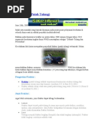 Download Fraktur by karyuze SN38281110 doc pdf