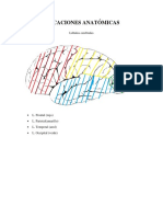 Laboratorio 01