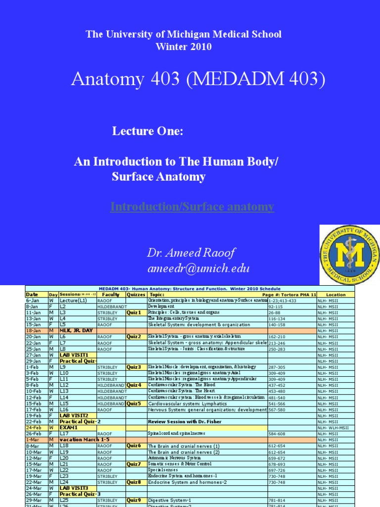 Human Anatomy Course Overview 2010 | PDF | Elbow | Arm