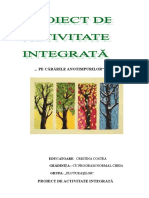 1proiect de Activitate Integrata