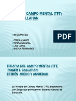 Terapia Del Campo Mental (TFT)