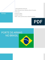 Porte de Armas No Brasil