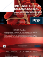 hemostasia