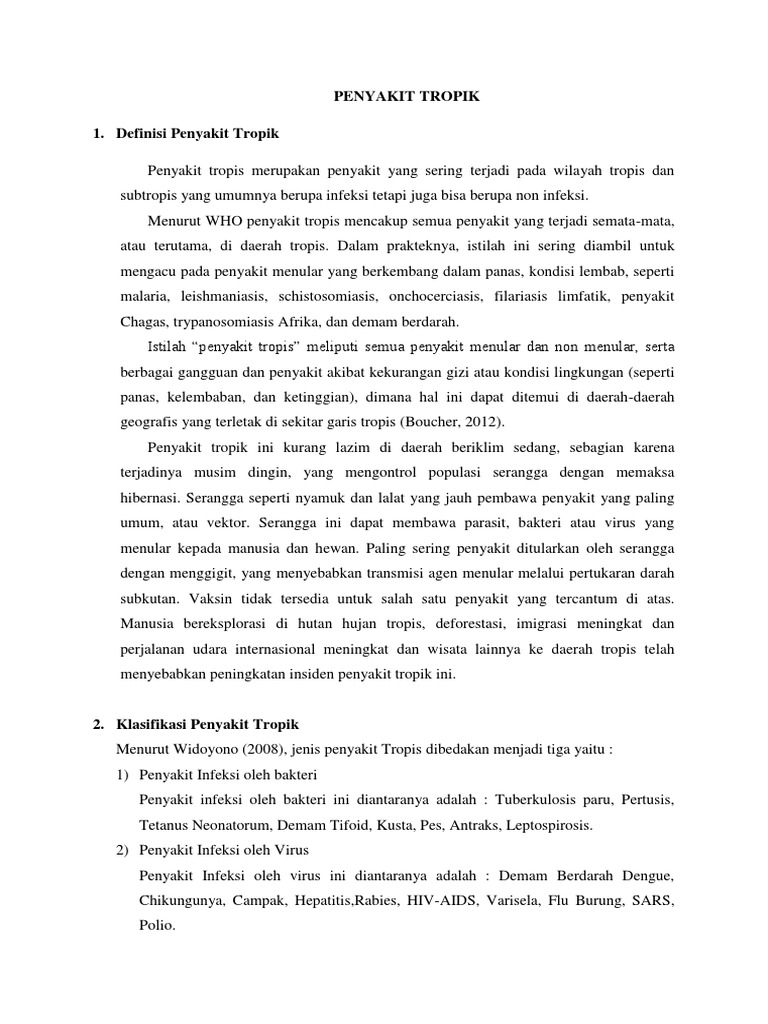 Stop Penyakit Tropis, Hidup Sehat di Desa Tenjolayar!