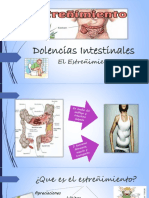 Dolencias Intestinales