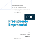 Ensayo Presupuesto Empresarial