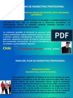 Fases Del Plan de Marketing Profesional