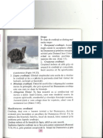 Credinta.2_rotated.pdf