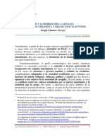 Los Cachorros Del Califato - Terrorismo Yihadista y Delincuencia Juvenil