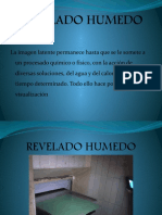 Revelado Humedo