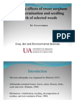 Allelopathy Effect of Sweet Sorghum Presentation 2009-Praveen Sapkota