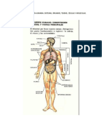 Imágenes Anatomía Humana