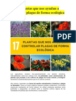 17 Plantas Que Nos Ayudan A Controlar Plagas de Forma Ecológica