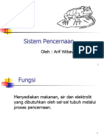 Sistem Pencernaan