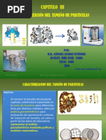 Download Capitulo IIICARACTERIZACIN DE TAMAO DE PARTCULAS by nlinaresg SN38287906 doc pdf