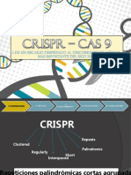 CRISPR All You Need To Know in 15 Min