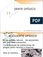 accidenteofdico-110221174150-phpapp02