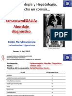 Mendoza Esplenomegalia1