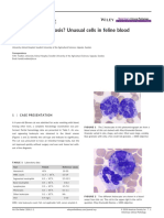 Tvedten, 2018 - What is Your DiagnosisQM Unusual Cells in Feline Blood