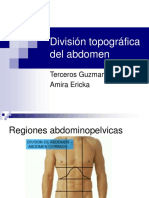 División topográfica del abdomen.ppt