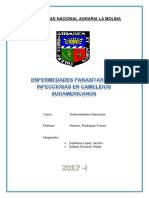 Informe de Infecciosas Camelidos