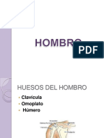 hombro-131114192247-phpapp01