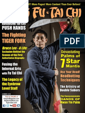 Super 2018-06-01 Kung Fu Tai Chi | Chinese Martial Arts | East Asian BD-94