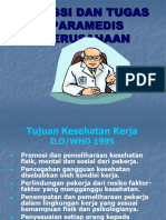 Fungsi Dan Tugas Paramedis