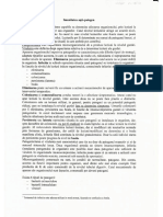 13.pdf