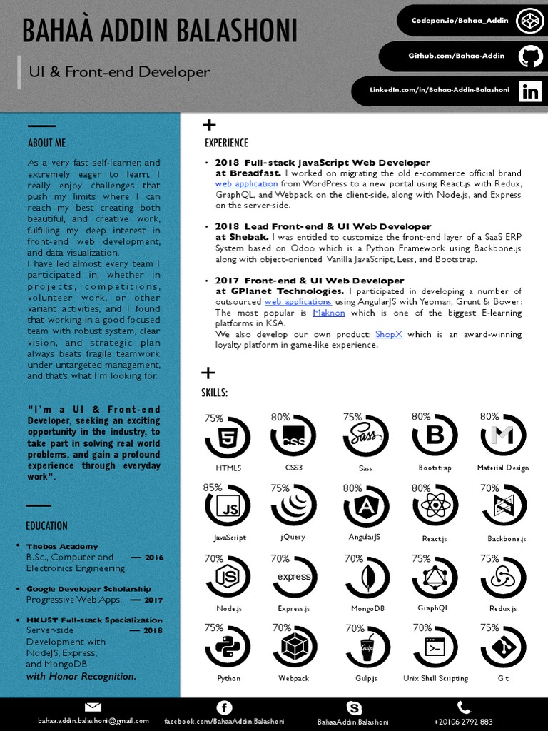 UI & Front-end Developer Profile | PDF | Angular Js | Web Application