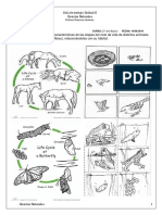 Guía Ciencias Naturales 2 Do Básico