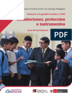 ORIENTACIONES Y PROTOCOLOS.pdf