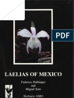 Lalelias of Mexico