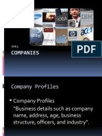 Companies: Unit 3
