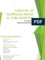 Patologia de Las Glandulas Anexas Al Tubo Digestivo