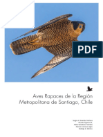 Libro Aves Rapaces 25012016 Lowres