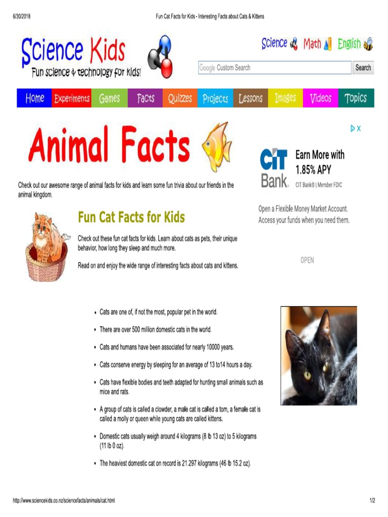 Fun Cat Facts For Kids - Interesting Facts About Cats & Kittens | PDF |  Felis | Cats