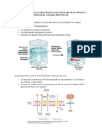 Difusion de Agua y Otras Moleculas