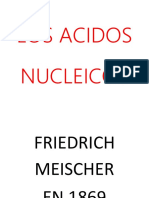Los Acidos Nucleicos