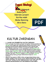 Tugas Biologi (Kultur Jaringan)