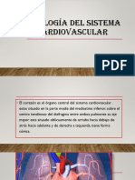 FISIOLOGIA