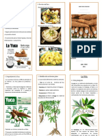 Triptico Yuca