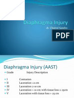 Diaphragma Injury