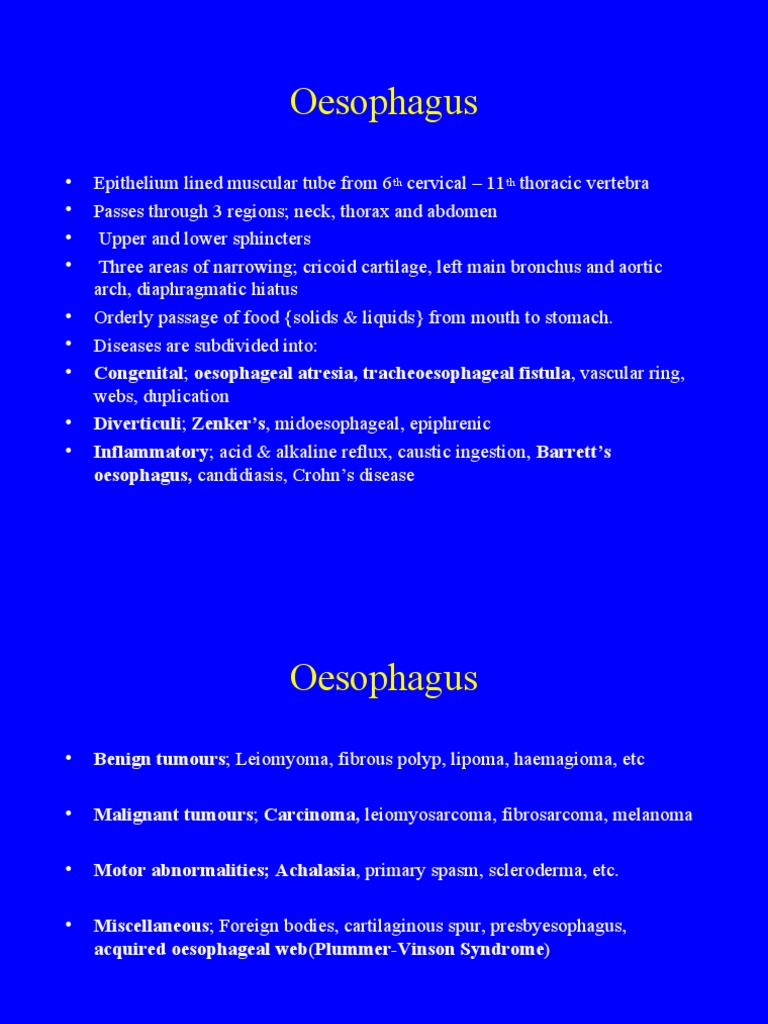 Oesophagus Stomach | PDF | Abdomen | Esophagus