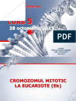 Genetica MD - Curs 5 28 octombrie 2013.pdf