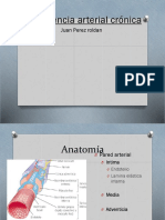 Insuficiencia Arterial Cronica