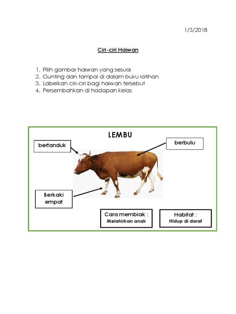 Latihan Ciri Haiwan Pdf