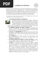 El Ambiente de La Entrevista