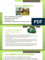 CastilloPech_Pedro_M15S3_ Políticasambientales.pptx