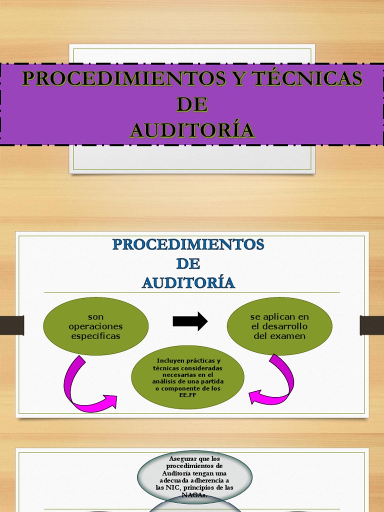 Técnicas y Procedimientos de Auditoría | PDF | Auditoría | Contralor